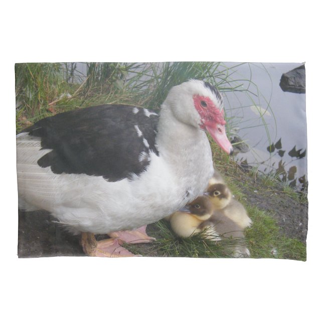 Canard de Muscovy et taie d'oreiller de canetons (devant)