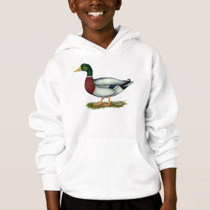 Canard Drake de Mallard