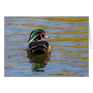 Canard en bois coloré