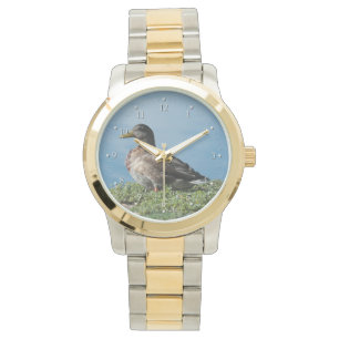 Canard par la montre d'eau