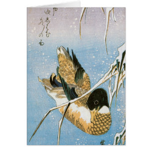 Canard sauvage Nage neige Laden Reeds par Hiroshig