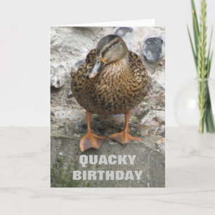 Canard sur un mur amusant carte d'anniversaire per