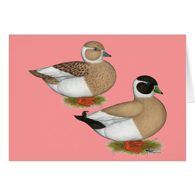 Canards : Appels Pencilés (Devant Horizontal)