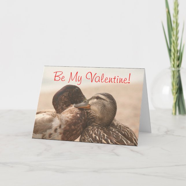 Canards dans la carte drôle de Valentines d'amour (Devant)