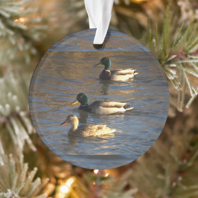 Canards dans l'eau (Arbre)