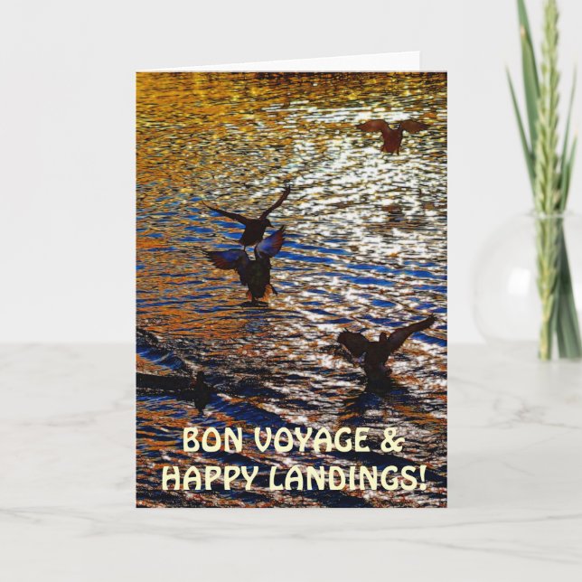 CANARDS de MALLARD débarquant la carte de voeux de (Devant)