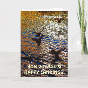 CANARDS de MALLARD débarquant la carte de voeux de