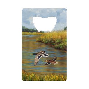 Canards-Majards Survolant L'Étang