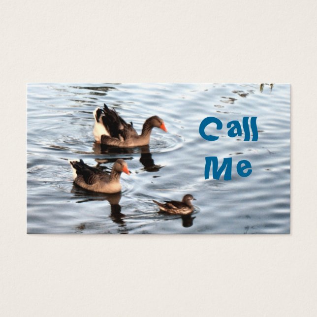 Canards nageurs (Devant)