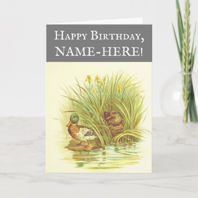 Canards près de l'eau Carte de voeux d'anniversair (Devant)