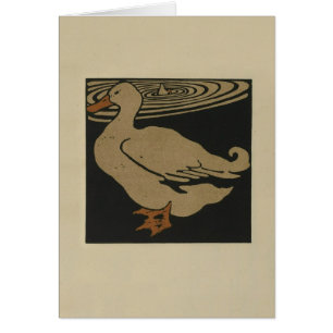 Canards près de l'étang
