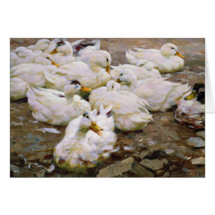 Canards sur un étang