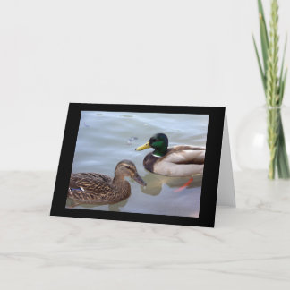 Canards sur une carte d'étang
