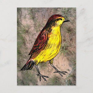 Canary Bird Postkarte