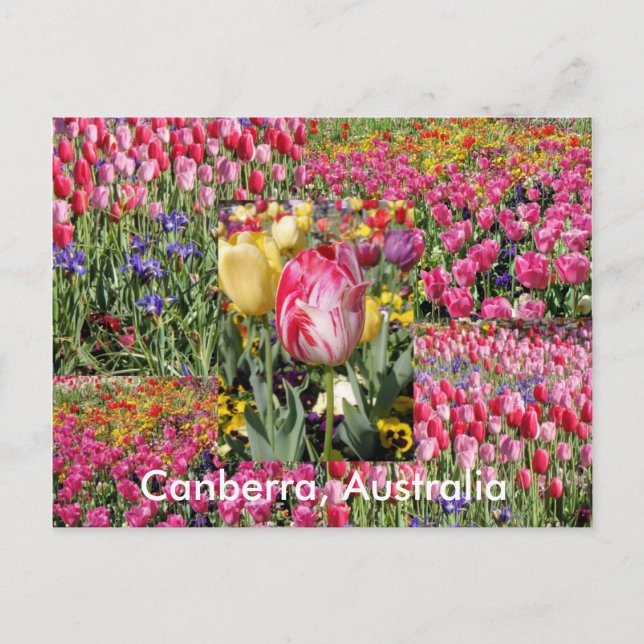 Canberra Australia Postcard Postkarte (Vorderseite)