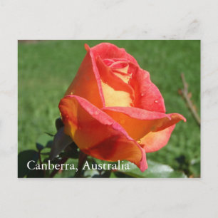 Canberra, Australien Postkarte