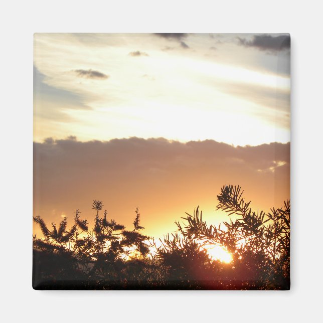 Canberra Sunset Magnet (Vorne)