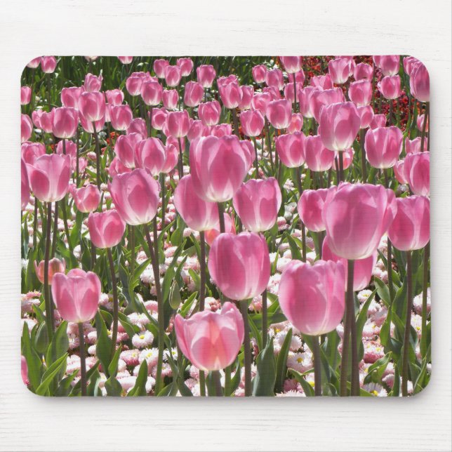 Canberra-Tulpen Mousepad (Vorne)