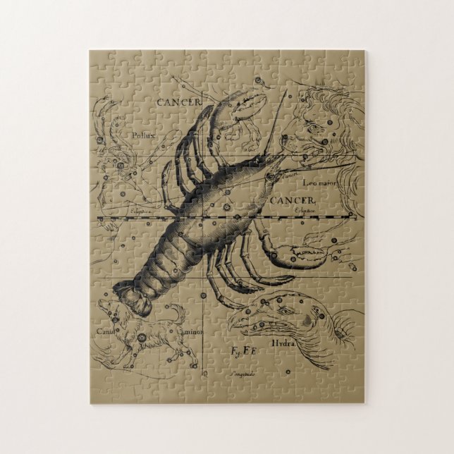 Cancer Constellation Hevelius 1690 Juni 21-Juli 22 (Vertikal)