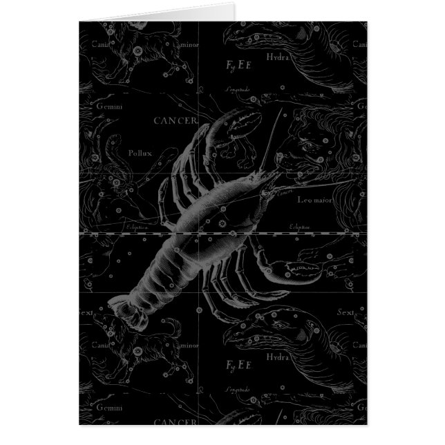 Cancer Constellation Hevelius 1690 sur Noir (Devant)