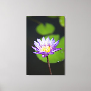 Cancun, Mexiko Leinwanddruck