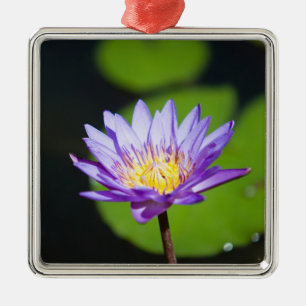 Cancun, Mexiko Silbernes Ornament