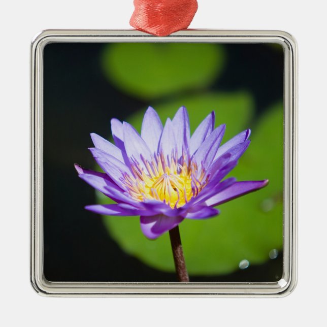 Cancun, Mexiko Silbernes Ornament (Vorne)