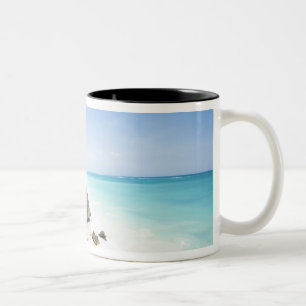 Cancun, Quintana Roo, Mexiko - Ruinen auf einem H Zweifarbige Tasse