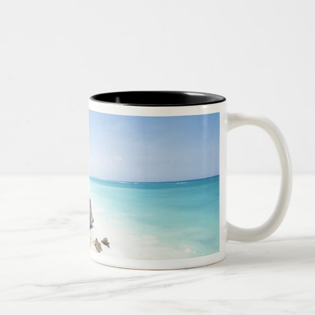 Cancun, Quintana Roo, Mexiko - Ruinen auf einem Hü Zweifarbige Tasse (Rechts)