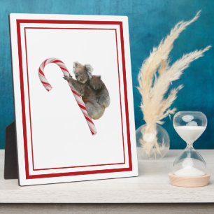Candy Cane Australian Koala Bears Plaque Fotoplatte