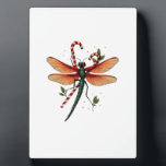 Candy Cane Dragonfly Fotoplatte<br><div class="desc">Candy Cane Dragonfly</div>