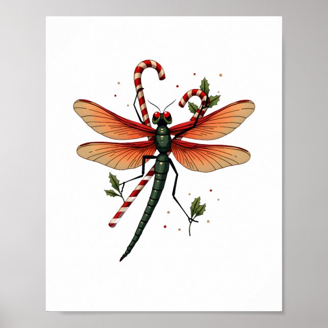 Candy Cane Dragonfly Poster (Vorne)