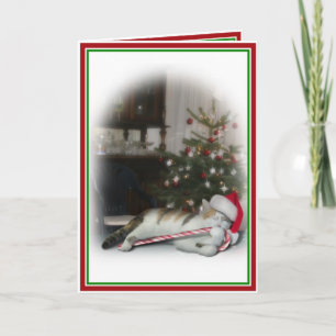 Candy Cane Kitty Christmas Feiertagskarte