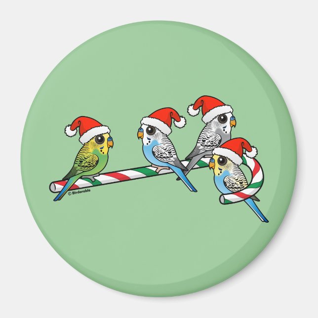 Candy Cane Santa Budgies Magnet (Vorne)