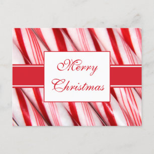 Candy Canes Postcard Feiertagspostkarte