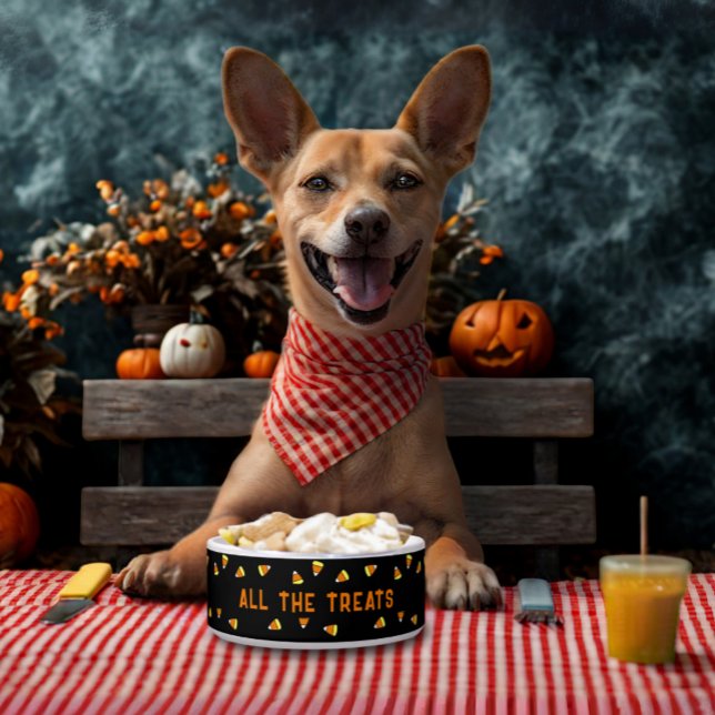 Candy Corn Alle Leckereien Halloween Dog Bowl Napf (A candy corn pattern food bowl for your pet. Let them join in the Howl-oween fun!)