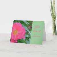 "CANDY-PINK PEONY/GET GUT BALD"