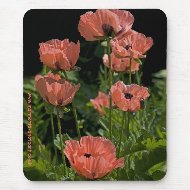 Candy Pops Mousemat Mousepad (Vorne)