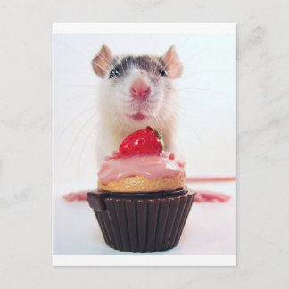 Candy Rat Postkarte