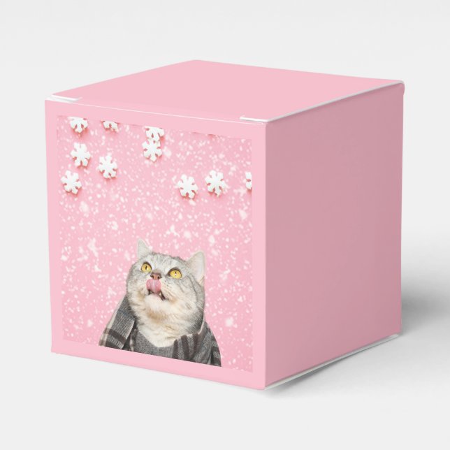 Candy Snowflake Cat Geschenkschachtel (Vorderseite)
