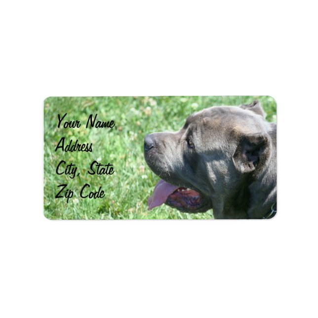 Cane Corso-Adressetiketten Adressaufkleber (Vorne)