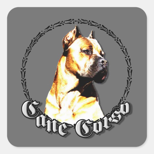 Cane-Corso-Aufkleber Quadratischer Aufkleber (Vorderseite)