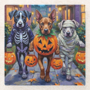 Cane Corso beim Süßigkeiten-Sammeln in Halloween-K Glasuntersetzer