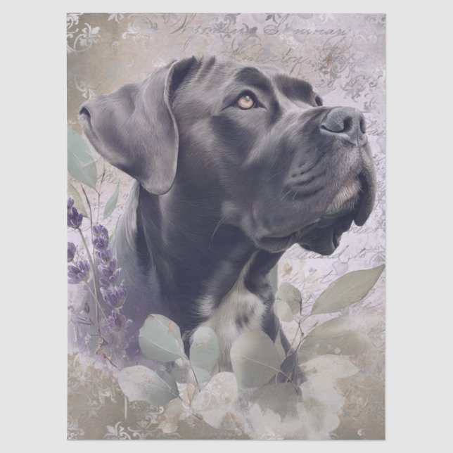 Cane Corso Blumenhund Seidenpapier (Vorderseite)