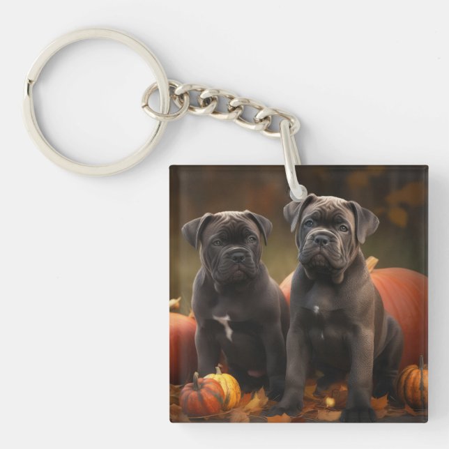 Cane Corso Chiot Automne Citrouille de plaisir (Devant)