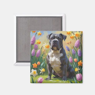 Cane Corso Dog Frühlingsblumen Malerei Magnet