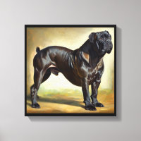 Cane Corso Dog