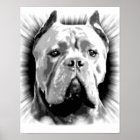 Cane Corso Dog