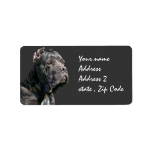 Cane corso expédition étiquettes