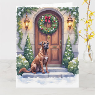 Cane Corso Große Tür Immergrün Weihnachtskunst Karte